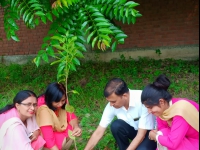 Plantation Activity In School Campus 
